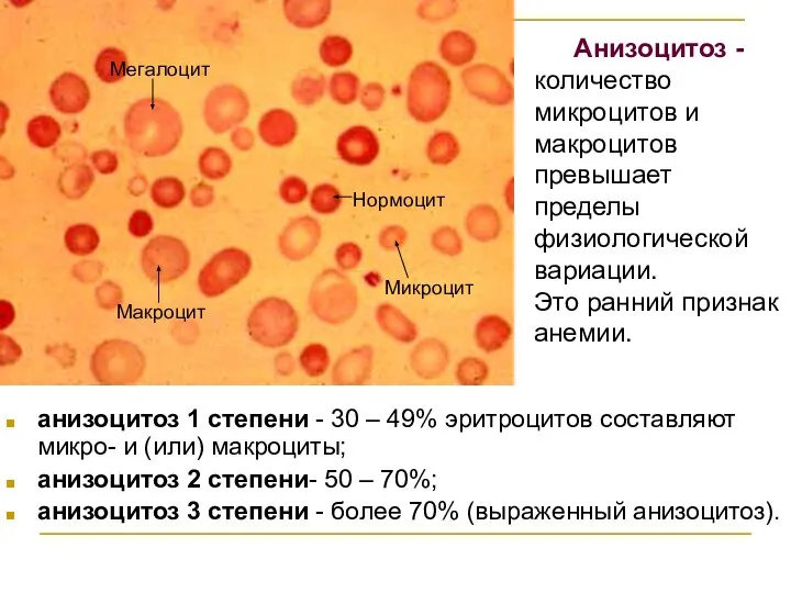 анизоцитоз 1 степени - 30 – 49% эритроцитов составляют микро- и (или)