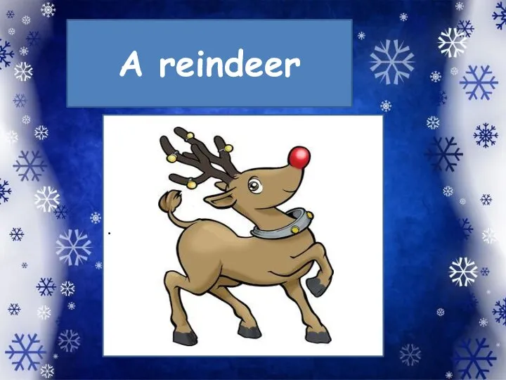 A reindeer .