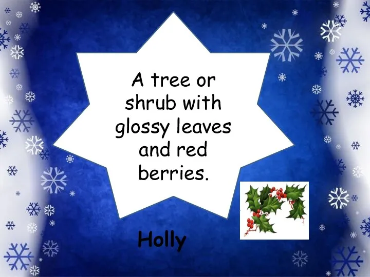 A tree or shrub with glossy leaves and red berries. Holly