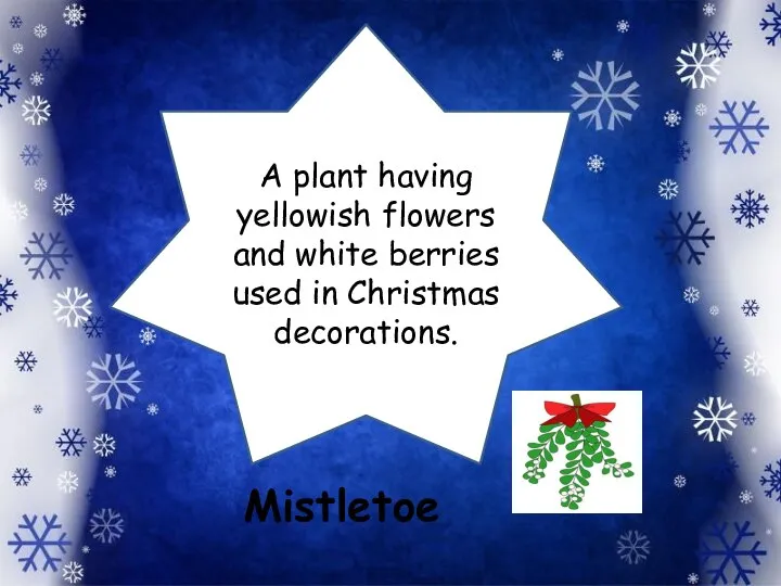 A plant having yellowish flowers and white berries used in Christmas decorations. Mistletoe