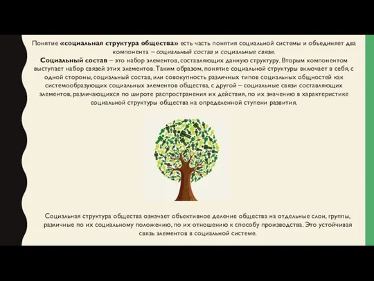 Понятие «социальная структура общества» есть часть понятия социальной системы и объединяет два