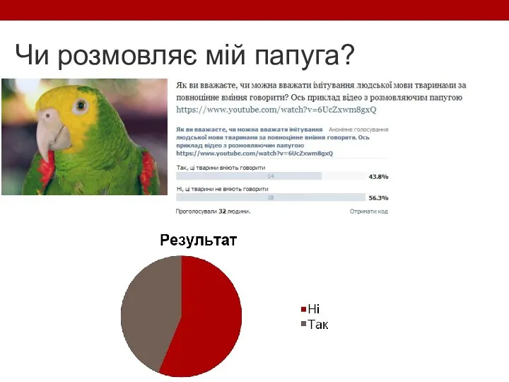 Чи розмовляє мій папуга?