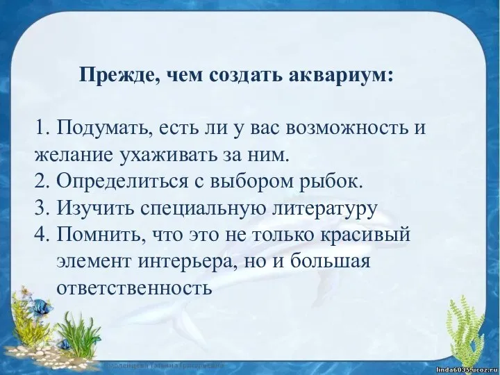 Прежде, чем создать аквариум: 1. Подумать, есть ли у вас возможность и