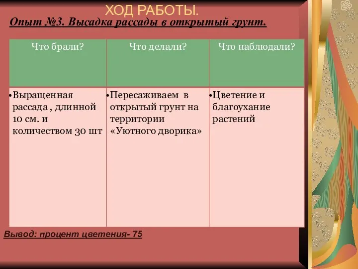 Опыт №3. Высадка рассады в открытый грунт. ХОД РАБОТЫ. Вывод: процент цветения- 75