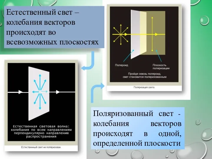 Естественный свет – колебания векторов происходят во всевозможных плоскостях Поляризованный свет -