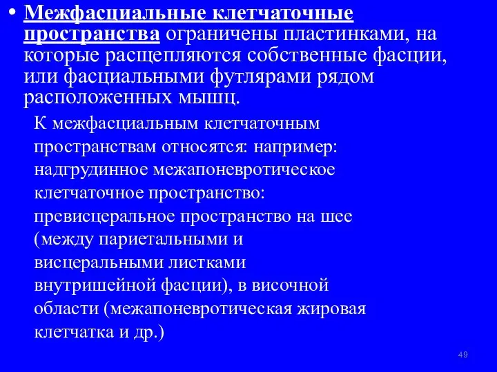 Межфасциальные клетчаточные пространства ограничены пластинками, на которые расщепляются собственные фасции, или фасциальными