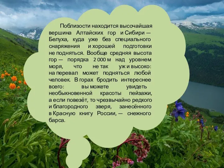 Поблизости находится высочайшая вершина Алтайских гор и Сибири — Белуха, куда уже