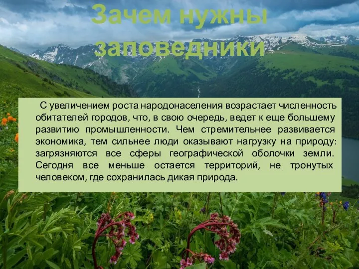 Зачем нужны заповедники С увеличением роста народонаселения возрастает численность обитателей городов, что,