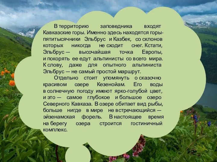 В территорию заповедника входят Кавказские горы. Именно здесь находятся горы-пятитысячники Эльбрус и