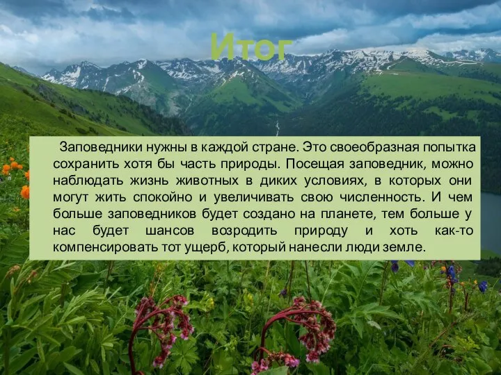 Итог Заповедники нужны в каждой стране. Это своеобразная попытка сохранить хотя бы