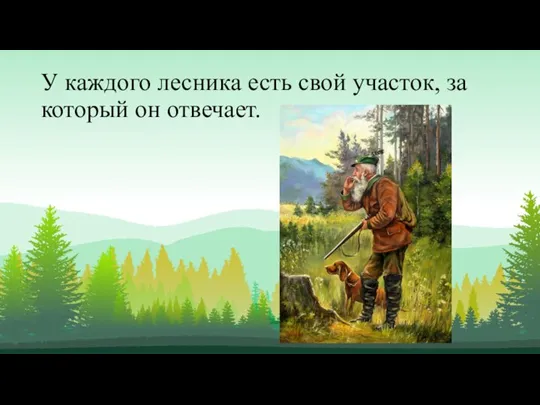 У каждого лесника есть свой участок, за который он отвечает.