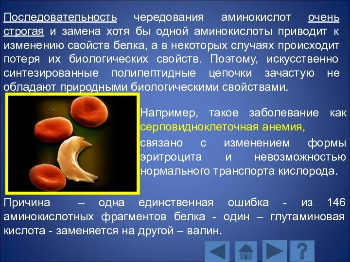 Например, такое заболевание как серповидноклеточная анемия, связано с изменением формы эритроцита и