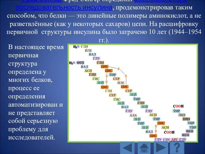 Фред Сенгер Фред Сенгер определил аминокислотную последовательность инсулина, продемонстрировав таким способом, что