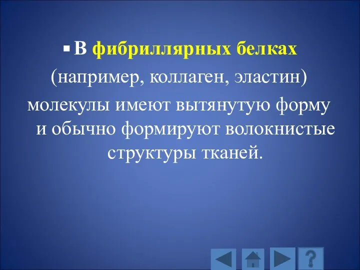 В фибриллярных белках (например, коллаген, эластин) молекулы имеют вытянутую форму и обычно формируют волокнистые структуры тканей.