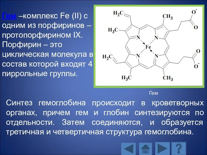 Гем –комплекс Fe (II) с одним из порфиринов – протопорфирином IX. Порфирин