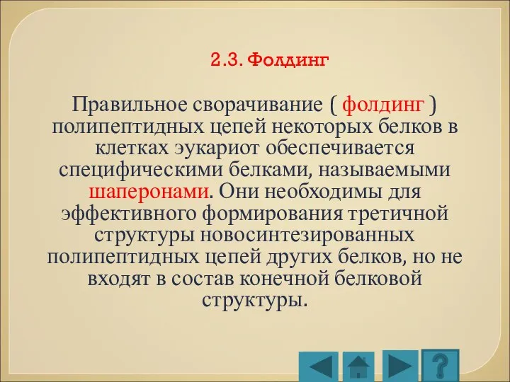 2.3. Фолдинг Правильное сворачивание ( фолдинг ) полипептидных цепей некоторых белков в