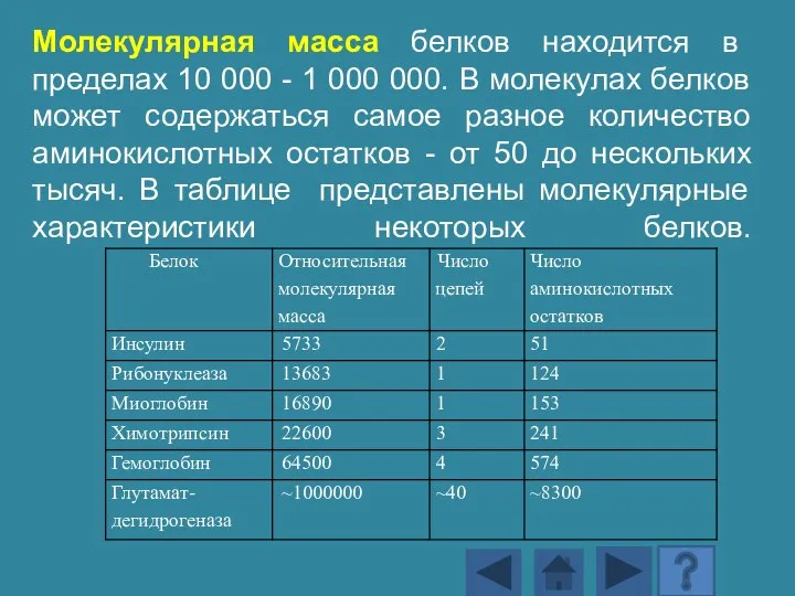 Молекулярная масса белков находится в пределах 10 000 - 1 000 000.