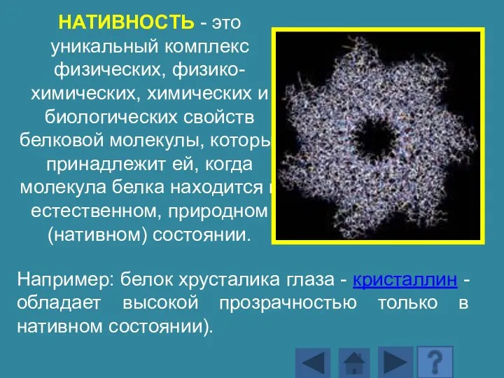 НАТИВНОСТЬ - это уникальный комплекс физических, физико-химических, химических и биологических свойств белковой