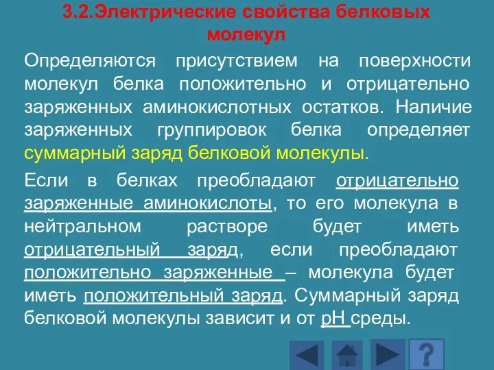 3.2.Электрические свойства белковых молекул Определяются присутствием на поверхности молекул белка положительно и