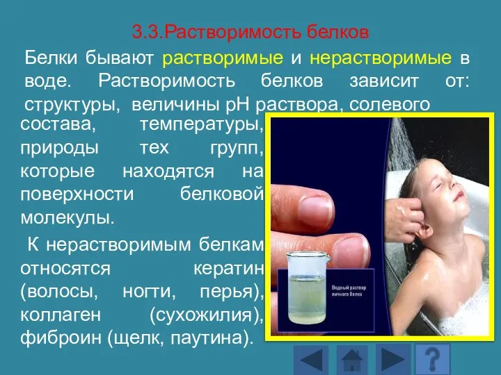 3.3.Растворимость белков Белки бывают растворимые и нерастворимые в воде. Растворимость белков зависит