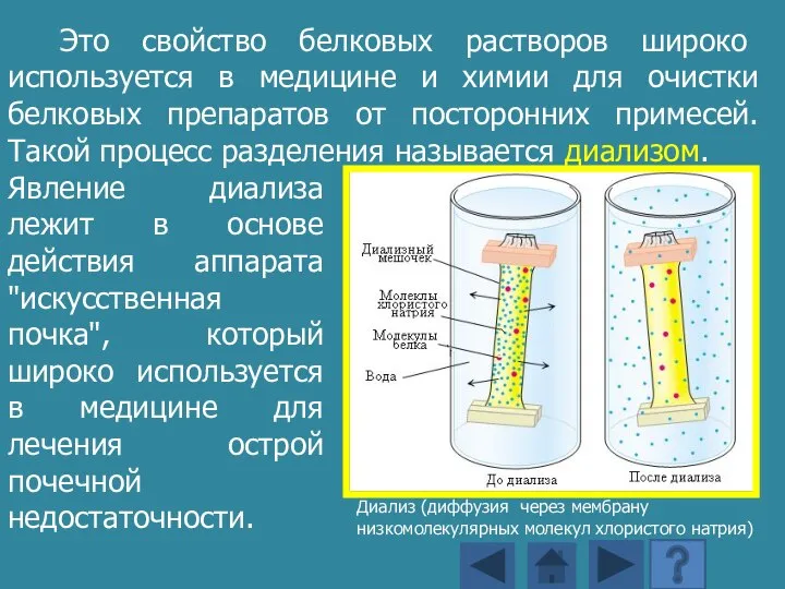 Явление диализа лежит в основе действия аппарата "искусственная почка", который широко используется