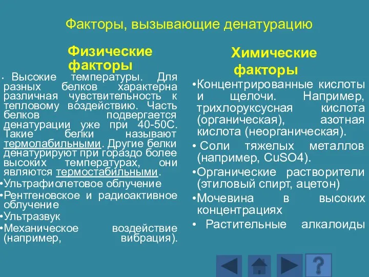 Факторы, вызывающие денатурацию Физические факторы Высокие температуры. Для разных белков характерна различная