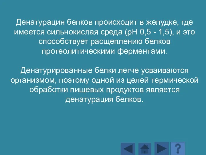 Денатурация белков происходит в желудке, где имеется сильнокислая среда (рН 0,5 -