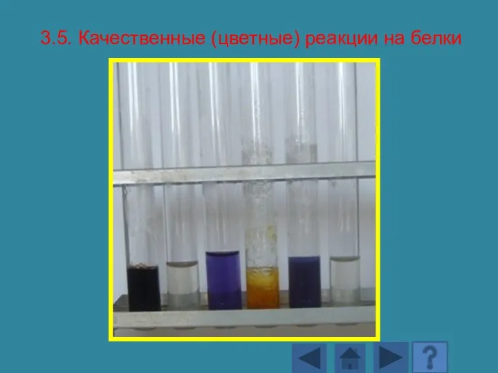 3.5. Качественные (цветные) реакции на белки