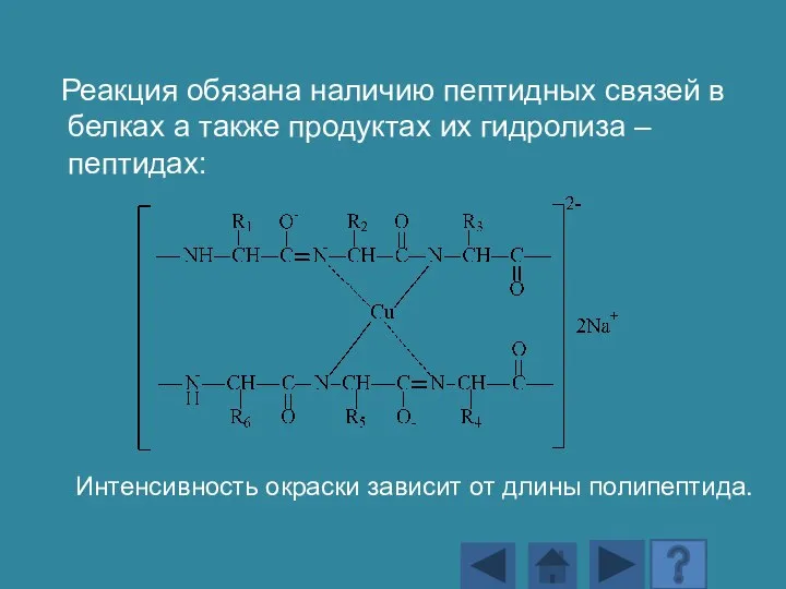 Реакция обязана наличию пептидных связей в белках а также продуктах их гидролиза