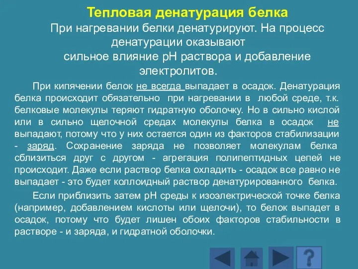 Тепловая денатурация белка При нагревании белки денатурируют. На процесс денатурации оказывают сильное