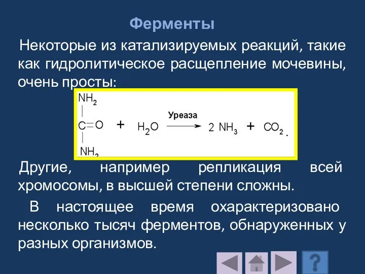 Ферменты Некоторые из катализируемых реакций, такие как гидролитическое расщепление мочевины, очень просты: