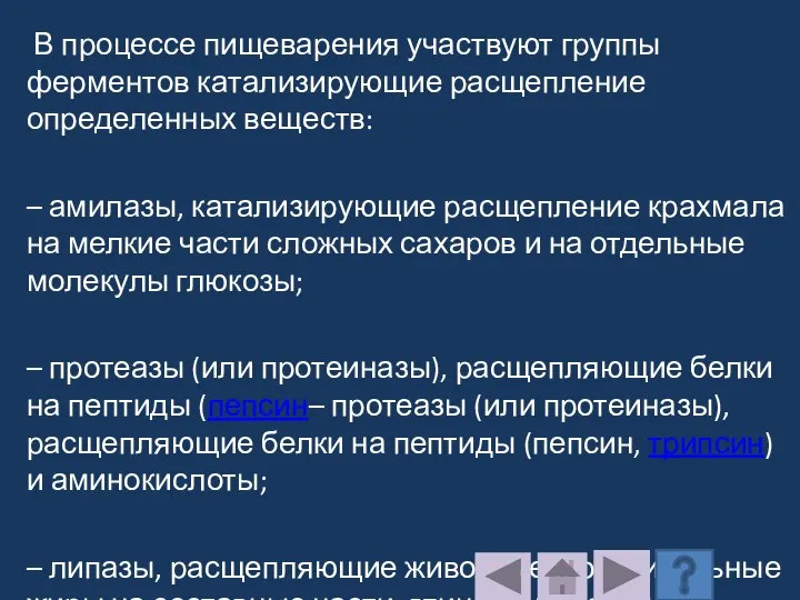 В процессе пищеварения участвуют группы ферментов катализирующие расщепление определенных веществ: – амилазы,