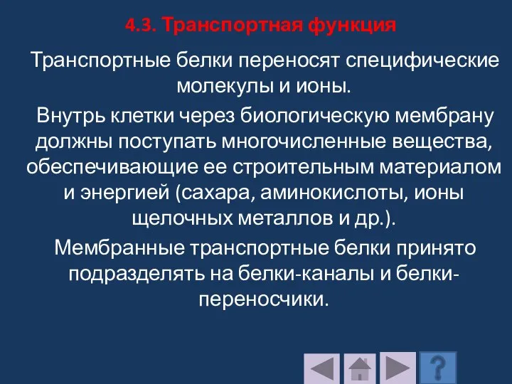 4.3. Транспортная функция Транспортные белки переносят специфические молекулы и ионы. Внутрь клетки