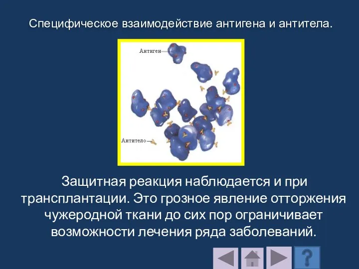 Защитная реакция наблюдается и при трансплантации. Это грозное явление отторжения чужеродной ткани