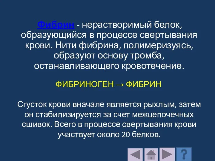 Фибрин - нерастворимый белок, образующийся в процессе свертывания крови. Нити фибрина, полимеризуясь,