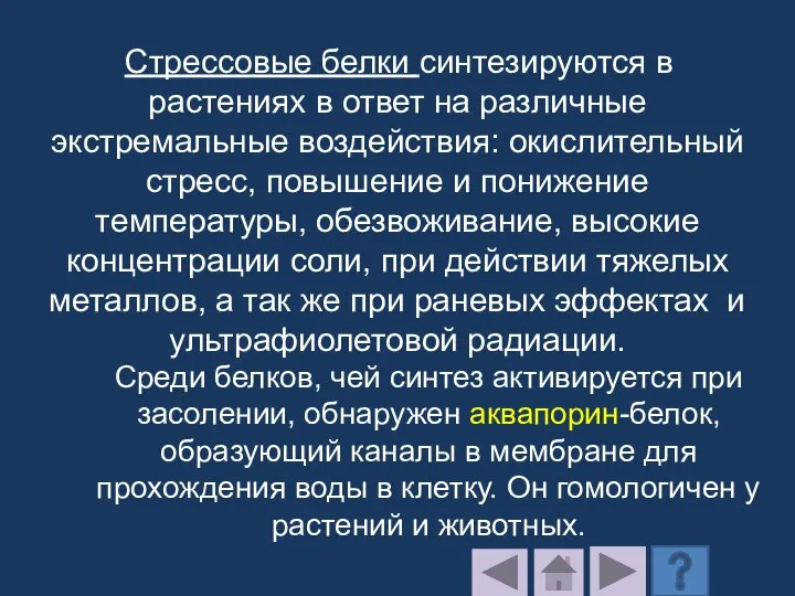 Стрессовые белки синтезируются в растениях в ответ на различные экстремальные воздействия: окислительный