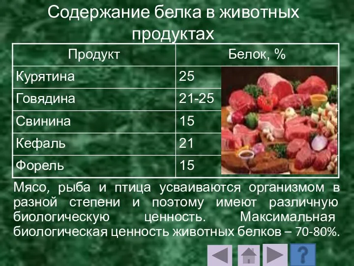 Содержание белка в животных продуктах Мясо, рыба и птица усваиваются организмом в