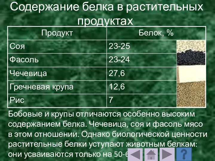 Содержание белка в растительных продуктах Бобовые и крупы отличаются особенно высоким содержанием