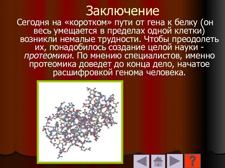 Заключение Сегодня на «коротком» пути от гена к белку (он весь умещается