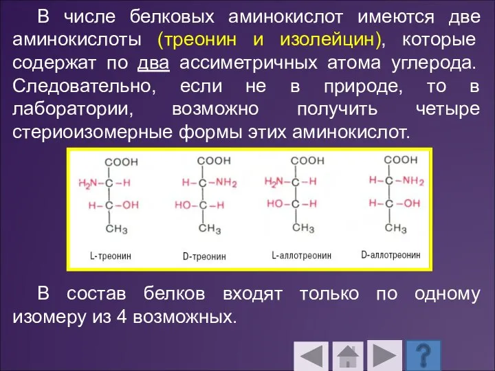 В числе белковых аминокислот имеются две аминокислоты (треонин и изолейцин), которые содержат