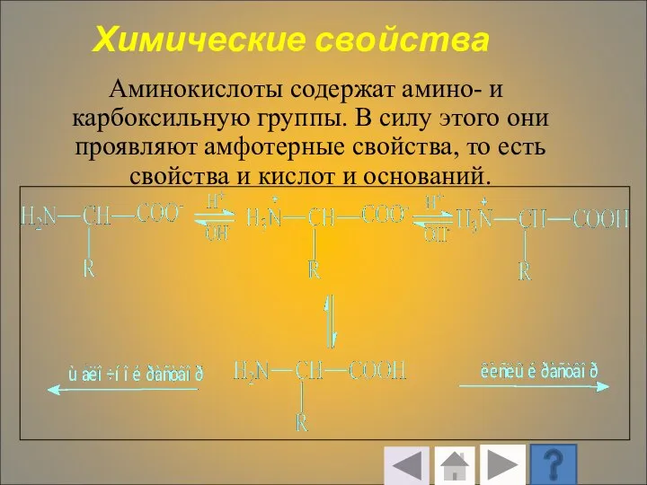 Химические свойства Аминокислоты содержат амино- и карбоксильную группы. В силу этого они