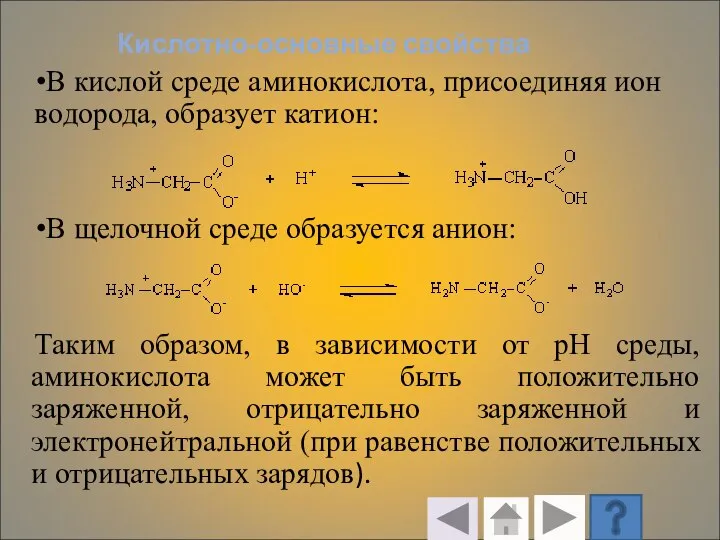 Кислотно-основные свойства В кислой среде аминокислота, присоединяя ион водорода, образует катион: В