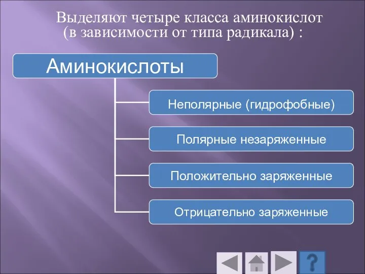 Выделяют четыре класса аминокислот (в зависимости от типа радикала) :