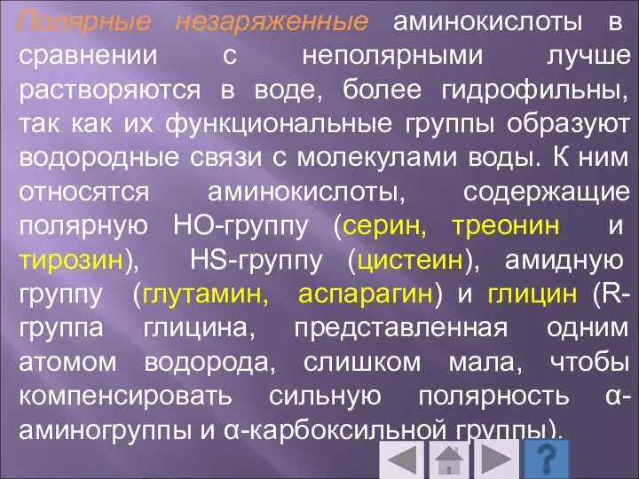 Полярные незаряженные аминокислоты в сравнении с неполярными лучше растворяются в воде, более