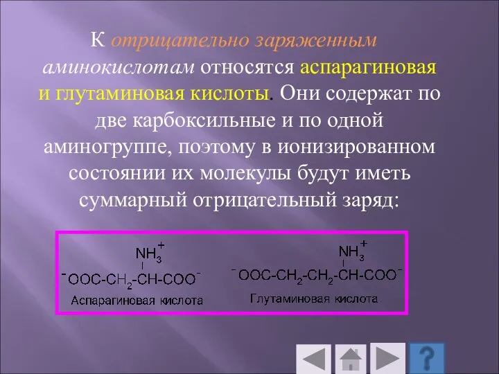 К отрицательно заряженным аминокислотам относятся аспарагиновая и глутаминовая кислоты. Они содержат по