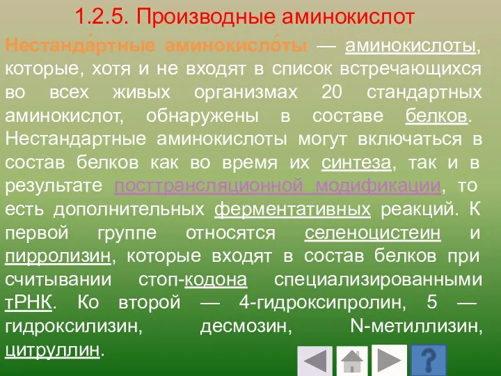 1.2.5. Производные аминокислот Нестанда́ртные аминокисло́ты — аминокислоты, которые, хотя и не входят