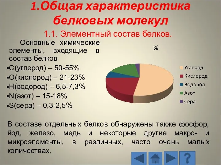 Основные химические элементы, входящие в состав белков С(углерод) – 50-55% O(кислород) –