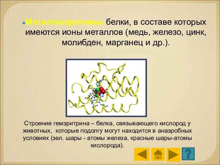 Металлопротеины белки, в составе которых имеются ионы металлов (медь, железо, цинк, молибден,