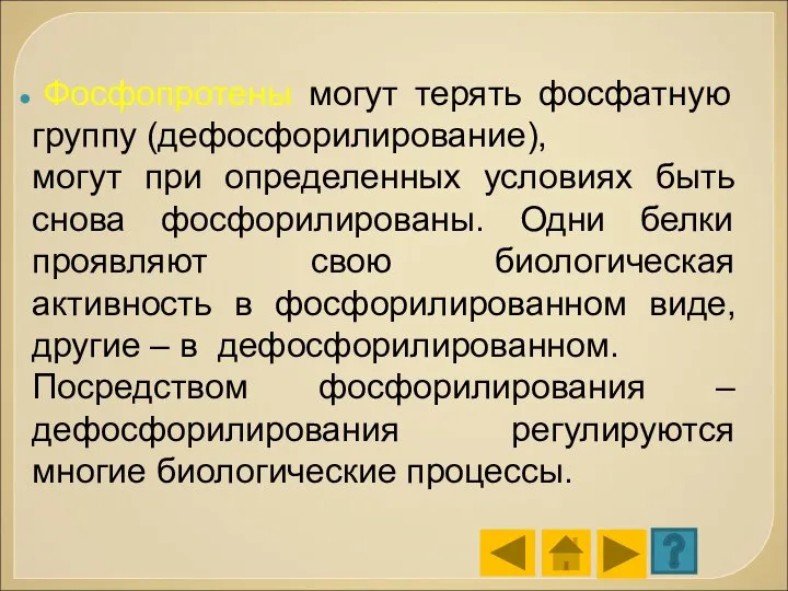 Фосфопротены могут терять фосфатную группу (дефосфорилирование), могут при определенных условиях быть снова