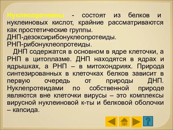 Нуклеопротеины - состоят из белков и нуклеиновых кислот, крайние рассматриваются как простетические